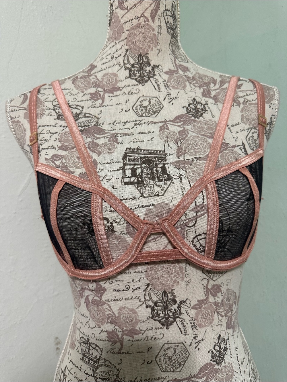 Bluebella Sheer Black Mesh Underwire Bralette with Pink Trim size 32B
